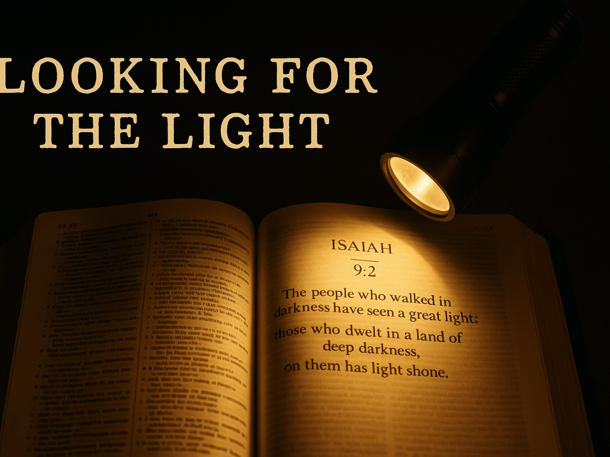 Looking for the&nbsp;Light